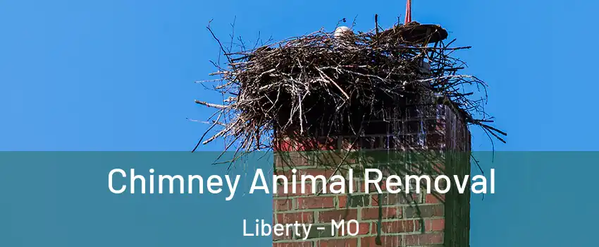  Chimney Animal Removal Liberty - MO
