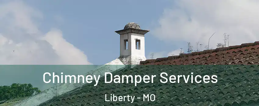  Chimney Damper Services Liberty - MO