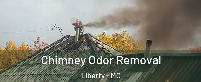  Chimney Odor Removal Liberty - MO
