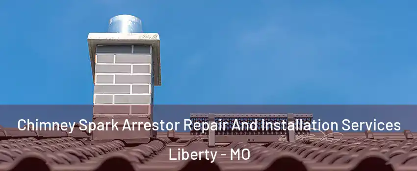  Chimney Spark Arrestor Repair And Installation Services Liberty - MO