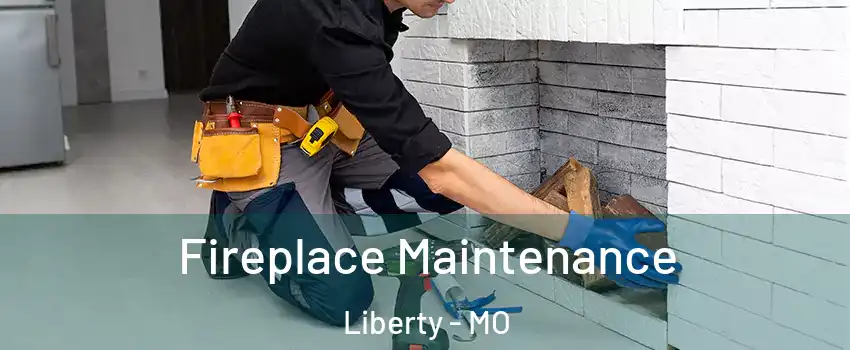  Fireplace Maintenance Liberty - MO