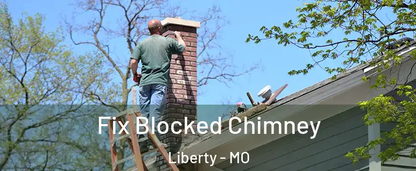  Fix Blocked Chimney Liberty - MO