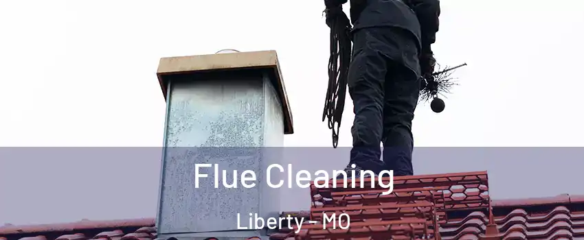  Flue Cleaning Liberty - MO