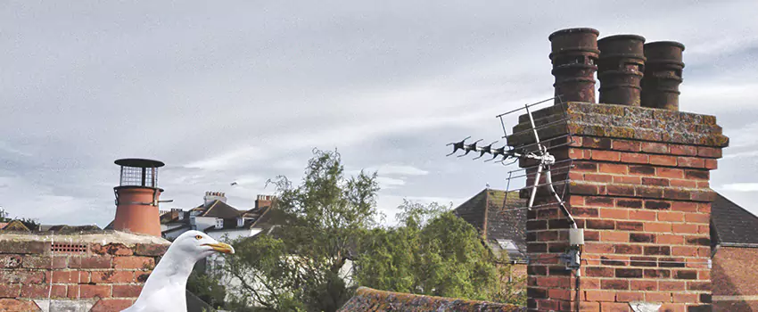 Chimney Cleaning And Restoration in Liberty, Missouri
