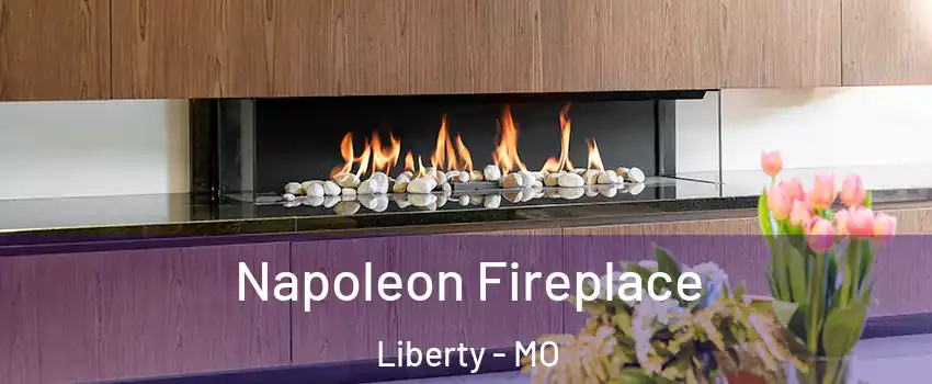  Napoleon Fireplace Liberty - MO